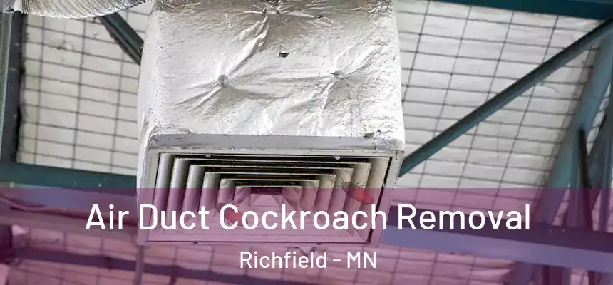 Air Duct Cockroach Removal Richfield - MN