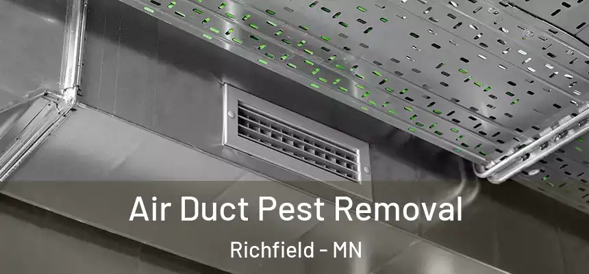 Air Duct Pest Removal Richfield - MN
