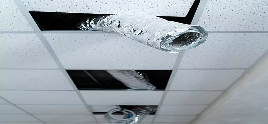 Affordable HVAC Sanitizing After Pest Removal in Richfield