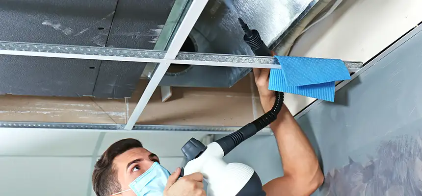 Our Air Duct Rodent Removal Services in Richfield, MN