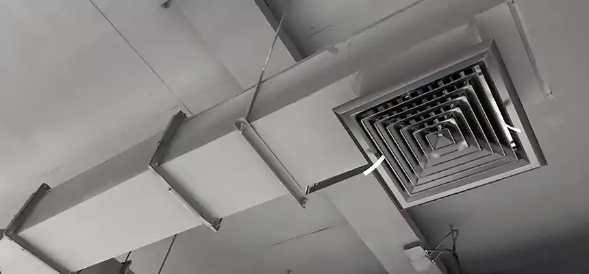 Our Rodent Droppings In Vents Services in Richfield, MN