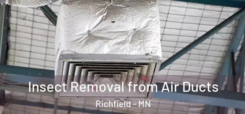 Insect Removal from Air Ducts Richfield - MN
