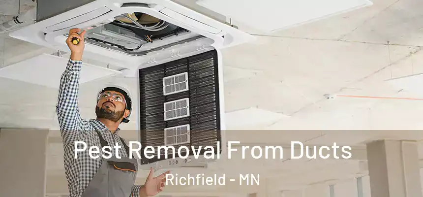 Pest Removal From Ducts Richfield - MN