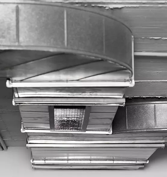 Professional Air Duct Pest Removal in Richfield, MN