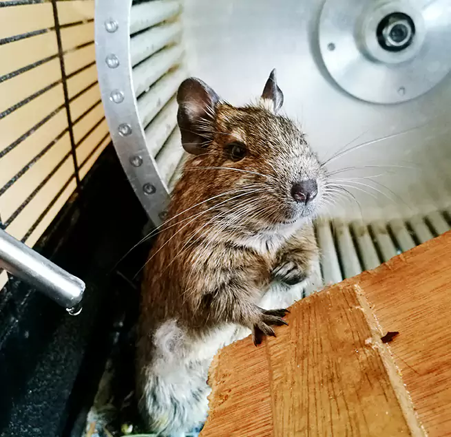 Why Homeowners & Businesses Trust Us Richfield, MN